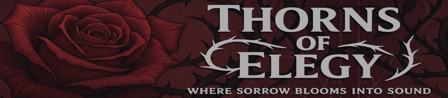 Hero Banner